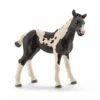 Schleich 13803 Pinto Veulen HorseClub 1 Schleich 13803 Pinto Veulen HorseClub -Speelgoed Speciaal Winkel schleich 13803 pinto veulen 1