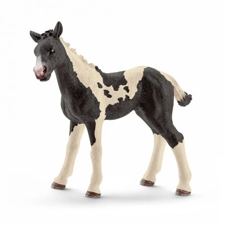 Schleich 13803 Pinto Veulen HorseClub 4 Schleich 13803 Pinto Veulen HorseClub - Afbeelding 2