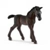 Schleich 13820 Lippizaner Veulen Horse Club 1 Schleich 13820 Lippizaner Veulen Horse Club -Speelgoed Speciaal Winkel schleich 13820 lippizamer veulen