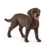 Schleich 13834 Labrador Retriever Teef 2 Schleich 13834 Labrador Retriever Teef -Speelgoed Speciaal Winkel schleich 13834 labrador retriever teefje