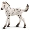 Schleich 13890 Knapstrupper Veulen Horse Club 2 Schleich 13890 Knapstrupper Veulen Horse Club -Speelgoed Speciaal Winkel schleich 13890 knapstrupper veulen