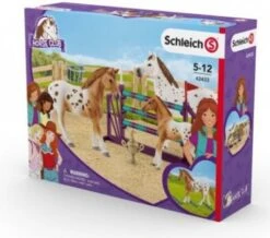 Schleich 42433 Toernooi Trainingsset Horse Club -Speelgoed Speciaal Winkel schleich 42433 toernooi trainingsset 1