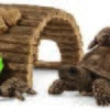 Schleich 42506 Schildpaddenhuis WildLife 1 Schleich 42506 Schildpaddenhuis WildLife -Speelgoed Speciaal Winkel schleich 42506 schildpaddenhuis